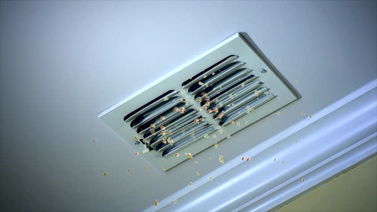 Best Air Duct Cleaning Near Me  in Linden, MI