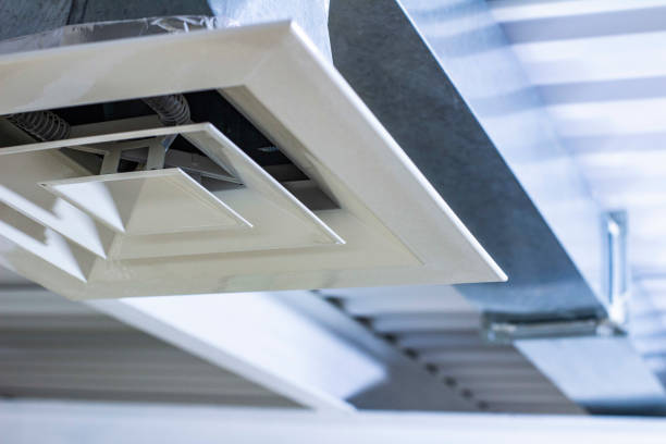 Best HVAC Duct Inspection Services  in Linden, MI