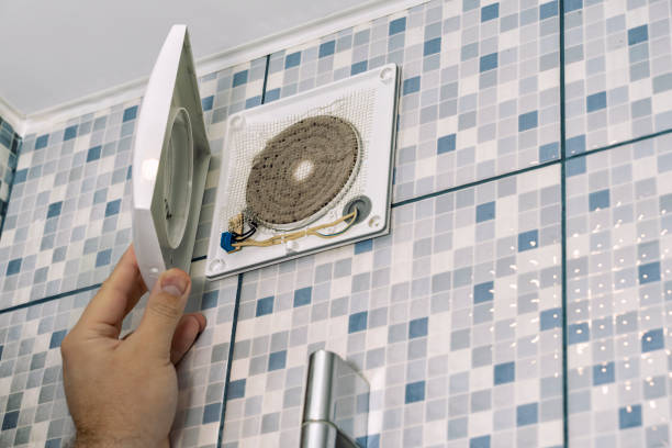 Best Home Air Vent Cleaning  in Linden, MI