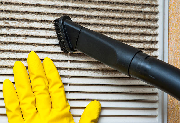 Best Ventilation Cleaning Services  in Linden, MI